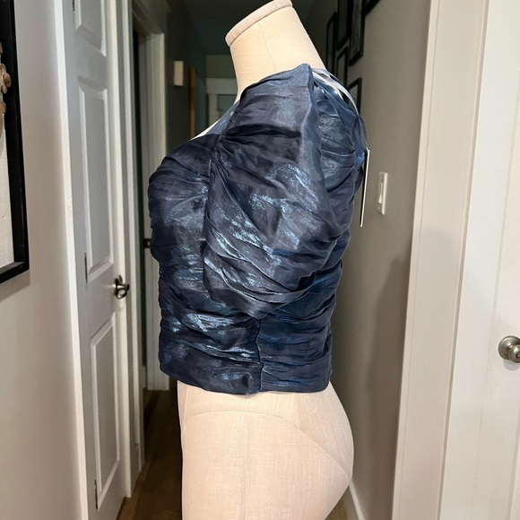 HOUSE OF BLOOM cropped ruched top with puffy sleeves in dusty blue with shimmer - Picture 6 of 15